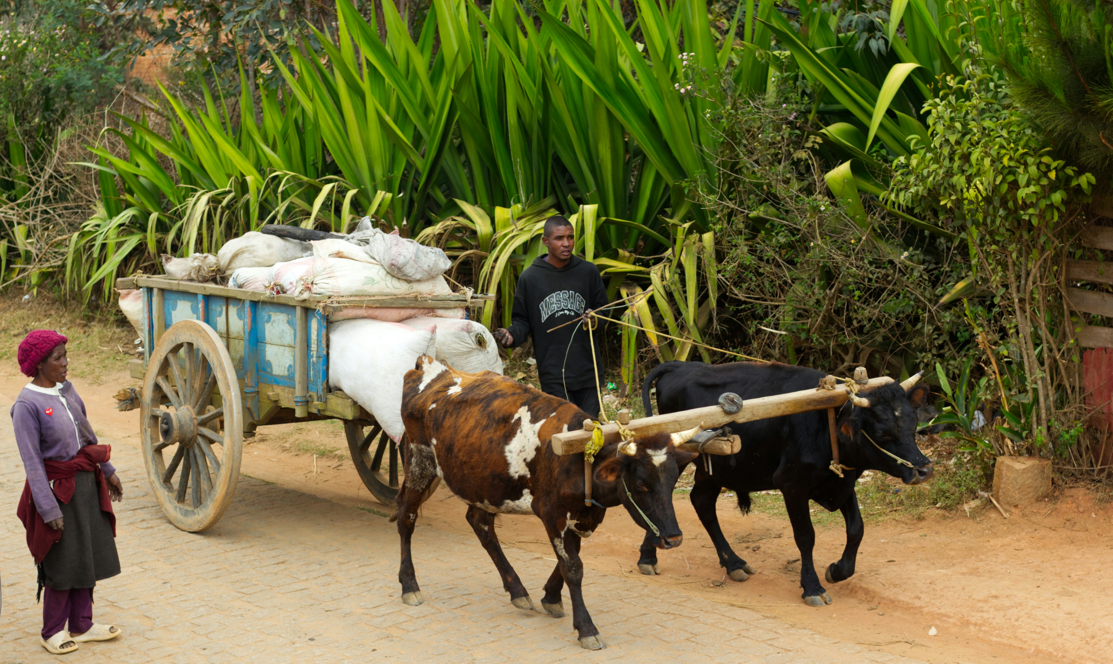 Why Context Matters: My Learning from Africa