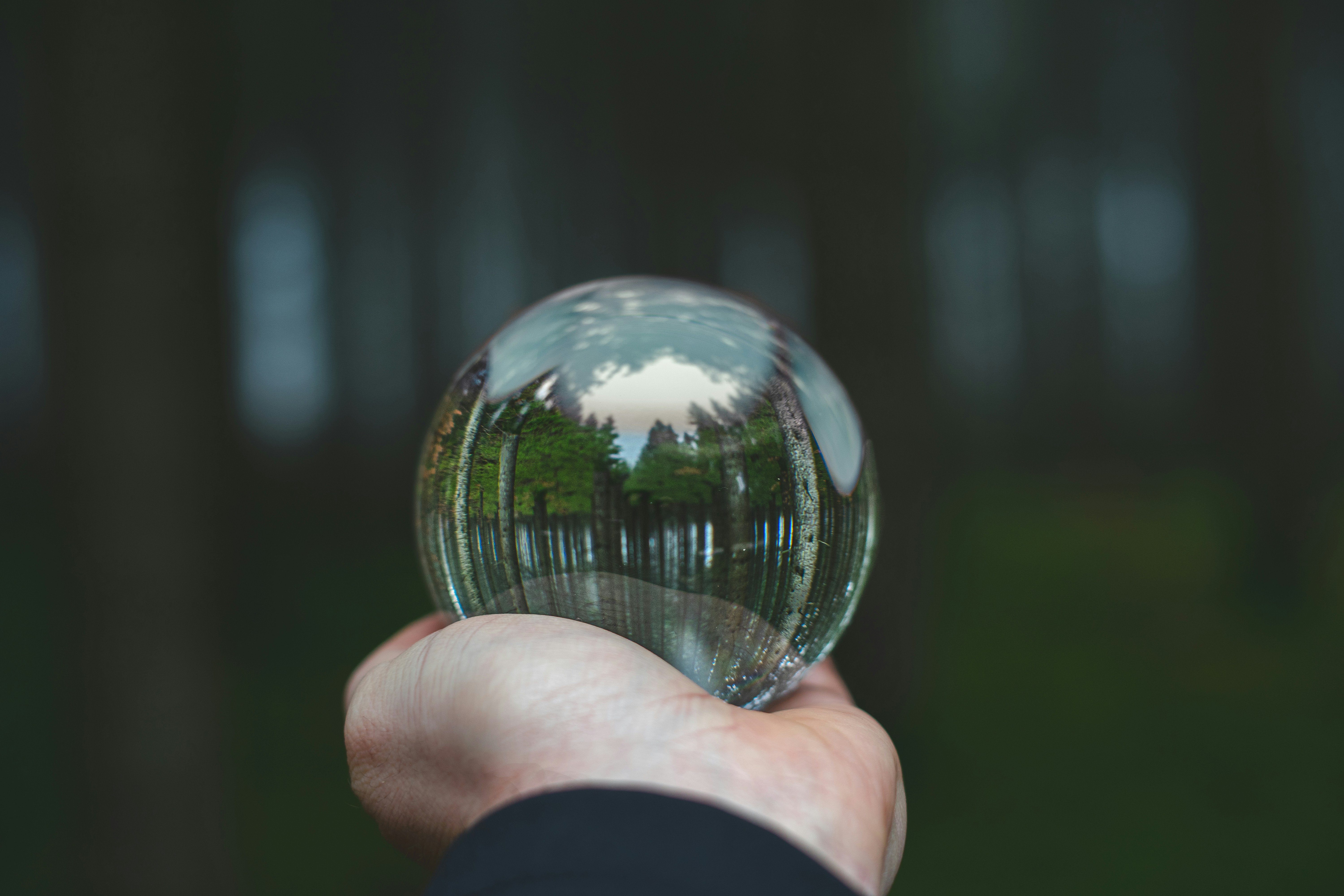 Why Transparency Matters: ReGenesis and the New HR Mindset