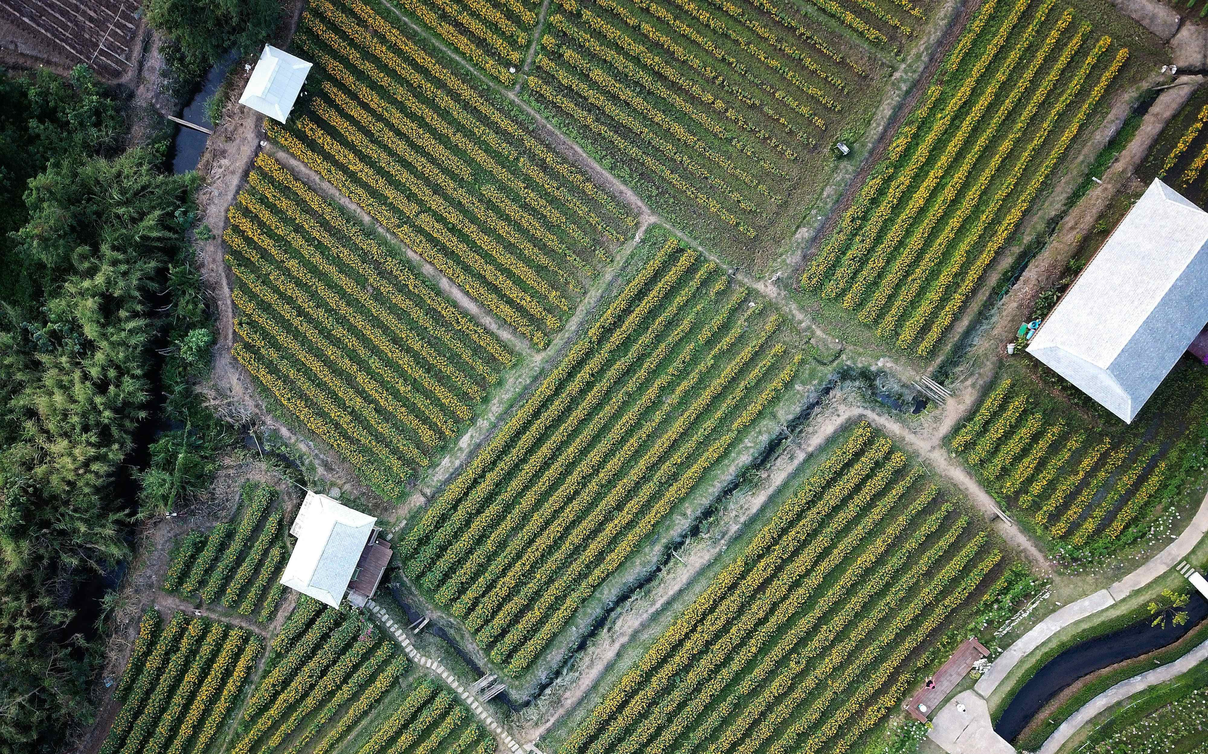 Transforming farm to fork traceability using game Design: A New Approach to Supporting Food systems Globally